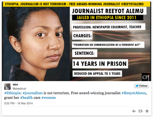 1000 Days in Jail for Ethiopian Journalist Reeyot Alemu